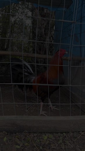 Michael Sargent (@michaelsargent73)’s videos with Gonna Know We Were Here - Jason Aldean