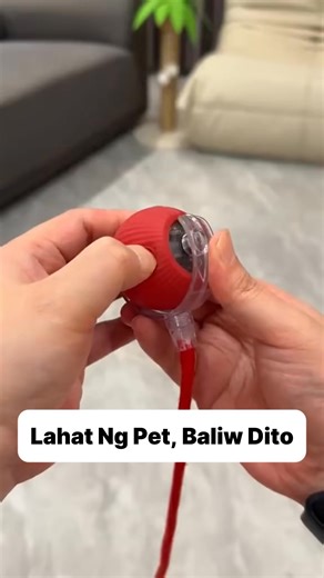 ✨ Interactive Electric Rolling Ball — the toy your pet will love! 🐾 Moves automatically to keep them active & happy. Safe. Rechargeable. Super fun! https://www.gobuynow.click/interactiveballtoy | Pet Care Hub