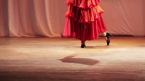 On Stage Legs Dancing Ballet Single Stock Footage Video (100% Royalty-free) 10560632 | Shutterstock
