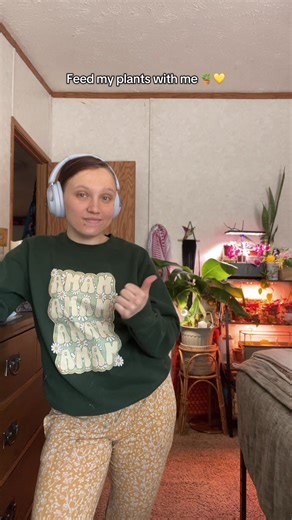 Essential Tips for Houseplant Care and Feeding