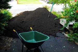 The shocking truth about topsoil