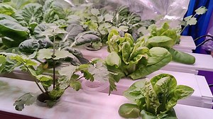 FARMTEK AUSTRALIA (@farmtek.com.au)’s videos with original sound - FARMTEK AUSTRALIA