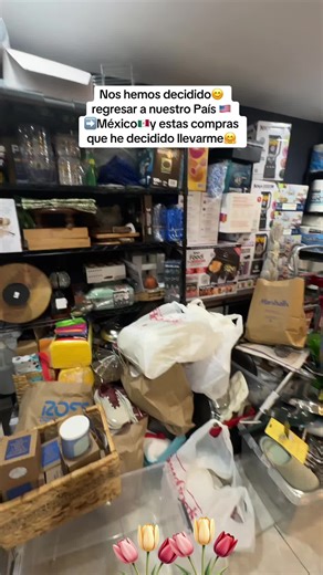 Returning to Mexico: Preparing for the Journey