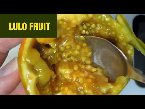 Lulo fruit, how to eat Lulo, what it is, what it tastes like, is it worth it and what's in it