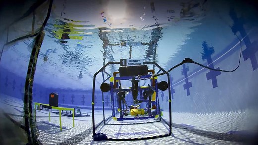 Dream Big: Engineering Our World (Short 2017)