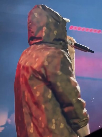 Eminem and Jelly Roll's Unforgettable Detroit Concert Experience