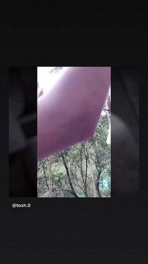 Jaybird (@jayrock1172)’s videos with original sound - Jaybird