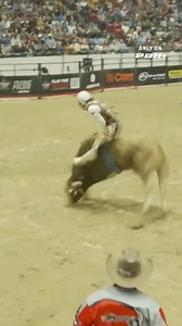 23K views · 968 reactions | Bob Mitchell knows a thing or two about riding inside #SouthPointArena  The OK Wildcatters gets momentum on his side for the Ride-In Round tomorrow.  EXCLUSIVELY on PBR+ | PBR | Facebook