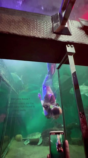 Mermaid Sabrina Wardrobe Malfunction Underwater