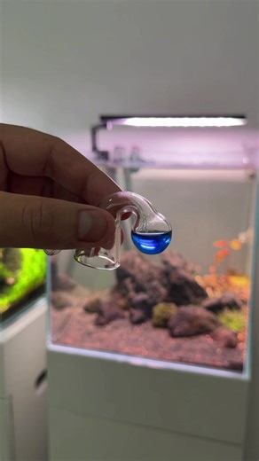 Aquascaping Mistakes in Betta Fish Tanks