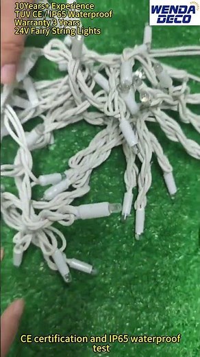 24V Fairy String Lights