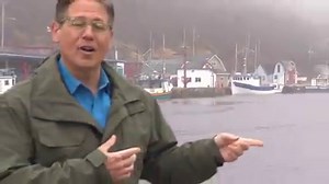 As active COVID-19 cases in the Newfoundland and Labrador dwindle, the success of the province's pandemic measures will rely on keeping its borders closed to travellers from the outside. That success will mean a crushing year for tourism and hospitality. | CBC News