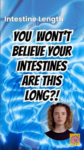 How Long Are Your Intestines? 🧠 | Brain Bop Shorts