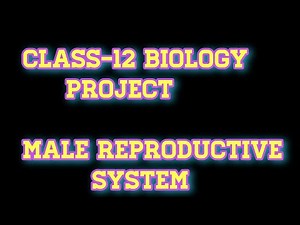 PROJECT/ PRACTICAL IN MALE REPRODUCTIVE SYSTEM