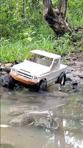 Carros de Control Remoto – ¿Cuál te gusta?