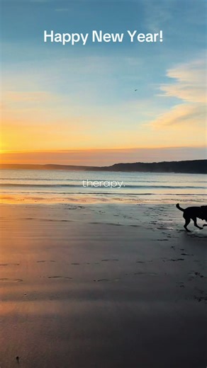 New Year's Day Adventure: Barry's First Breakfast Out