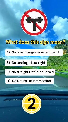 Do you know what it means to meet these signs on the road in China Come and guess! #driving #drivinglessons #drivingtest #drivinglicense #drivingtraining #drivingschool #drivingrange #china | LearnCar