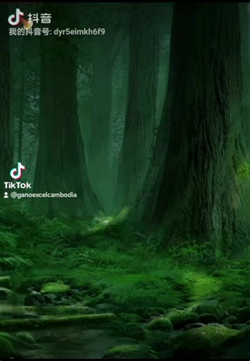 Ganoderma lucidum is a medicinal mushroom that has been traditionally used in Chinese medicine for centuries. It has been found to have a wide range of medicinal properties, including antioxidant, anti-inflammatory, and immune-boosting effects.