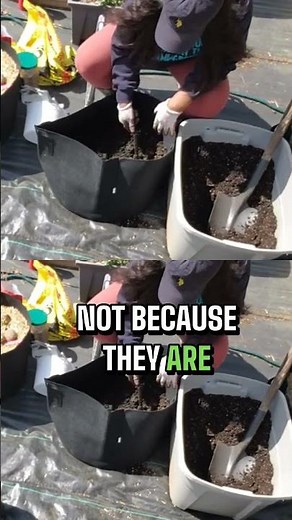 How to Plant Potatoes the RIGHT Way (Beginner Garden Tips!)