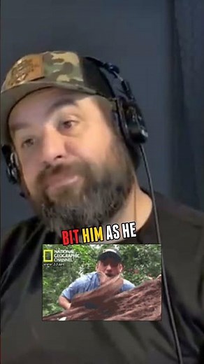 Man Gets Bitten By Timber Rattlesnake