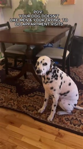 Throw back to one of leias best moments 😂 #dogmom #dogmomaf #dogmomlife #dogmomproblems