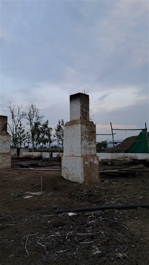 My eagle come back for food in morning #eagles #birds #americanbirds #allbirds #goldeneagle #falcon