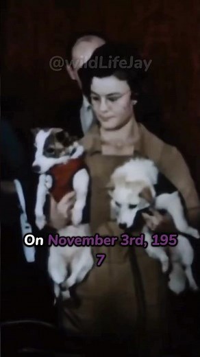 The Dog that Revolutionized Space History