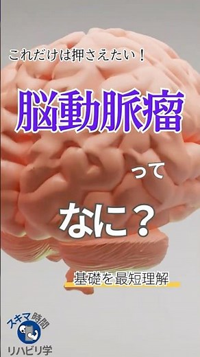【基礎】脳動脈瘤ってなに？PTなら知っておきたい基礎 #理学療法士国家試験 #理学療法士 #作業療法士国家試験 #作業療法士 #基礎 #脳 #脳出血 #脳卒中 #脳動脈瘤 #くも膜下出血