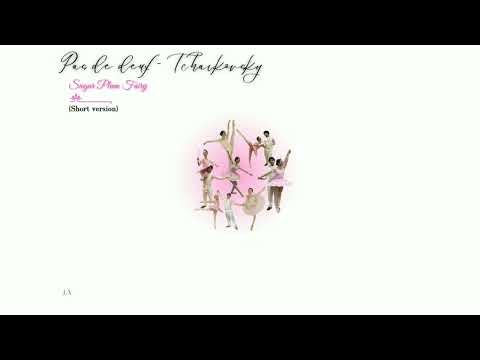 Tchaikovsky - Pas de Deux - The Nutcracker ("Shortened version")