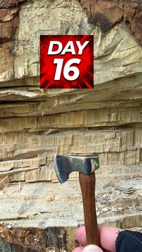 Day 16. Help me pls :) #challenges #woodcutting #spoontobunker