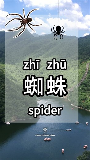 how to say 'spider' in chinese?🕷️ #learnchinese