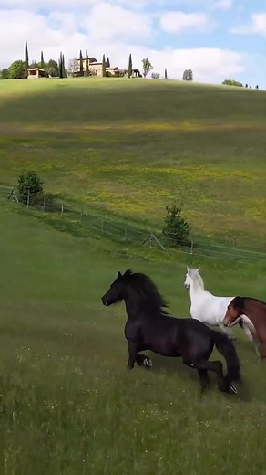 Can you imagine anything more beautiful?! 🏰 // @reschio When Count and Countess Antonio Bolza found their peaceful holiday retreat in 1984, it was encircled by an overgrown and ramshackle estate. A decade later, Antonio sold his successful publishing company, invested all the proceeds in buying the surrounding 1,500-hectare Reschio estate. ______________________ Ride here in Umbria, Italy with https://www.facebook.com/blacksaddletravel/ 🇮🇹 ______________________ #equestrian #dreamyponies #pfe