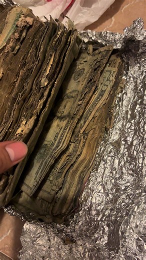 Dinero Podrido: Un Meme Que Nos Hace Reír