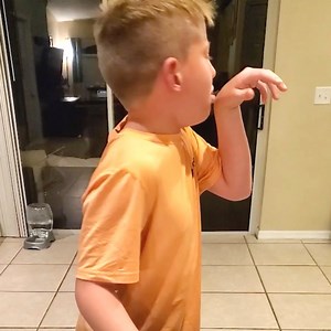 634K views · 5.2K reactions | Il n'est pas prêt de retenter l'expérience !  Via ViralHog Retrouvez d'autres vidéos drôles ici : youtube.com/Féroce_France | Féroce | Facebook