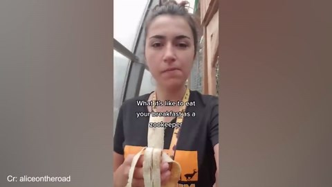 Obsessed pets who just can’t get enough of their humans