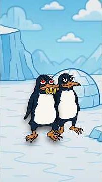 Secrets of male penguins 🫣