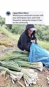 Tanglad farming 🌱🙏 #lemongrass | Marife Sambilad Diaz