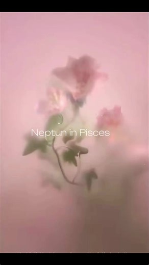 Ethernal beauty and love. This is the aestetic of Nepune in Pisces transit. 🧝🏻‍♀️🩷