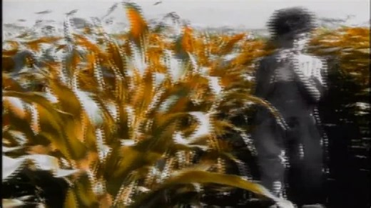 Joe Cocker - The Simple Things (Official Video) HD