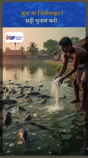 Lime vs Zeolite: Know the Real Difference Every Fish Farmer Must Understand | Fishery News