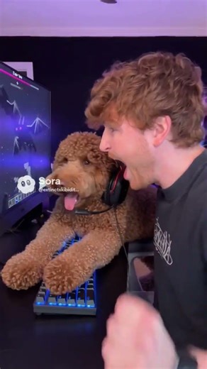 dog helps caylus beat ender dragon