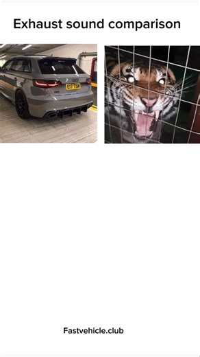 @fastvehicle.club on Instagram: "Audi rs3 vs Golf R MK7 EXHAUST SOUND COMPARSION #fastvehicleclub #germancars #foryou #explore #vag"