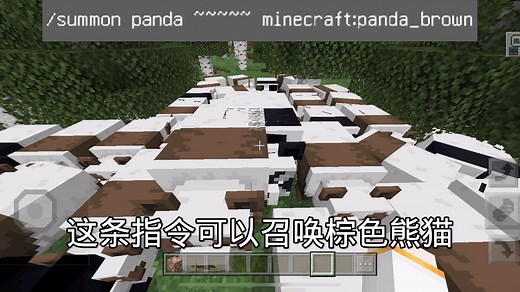 我的世界召唤指令合集2