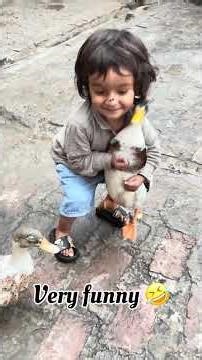 Funny 🤣 Ducks!” #funny #funnyvideo #funnyshorts #duck