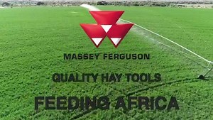 3.6K views · 201 reactions | Massey Ferguson on Reels | Facebook