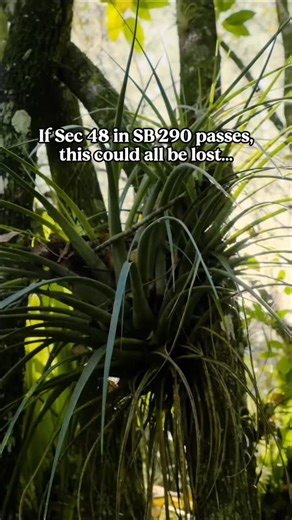 Captains For Clean Water on Instagram: "The disparagement provision in SB 290/HB 433 is an attack on our First Amendment rights and must be deleted in its entirety. ⁠ ⁠ If it were to pass, it would make it financially dangerous for people to speak publicly about agricultural practices, including practices that impact water quality—like fertilizer use, pollution from agriculture, pesticide and herbicide use, and water management practices.⁠ ⁠ We need to be louder than EVER to oppose this threat t