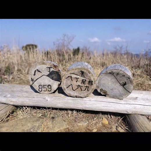 福智山 鷹取山 #登山 #絶景 #九州百名山 #虎尾桜