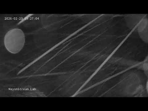 LIVE: [IP camera] Mayon Volcano, PH (South‑Southwest view)