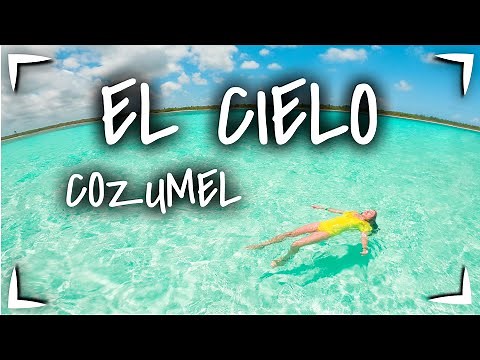 EL CIELO COZUMEL TOUR 🔴Nos costó $850 ¿Qué incluye? ►Vimos ESTRELLAS DE MAR y rentamos un VOCHO 🚗