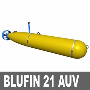 Bluefin 21 - Alchetron, The Free Social Encyclopedia